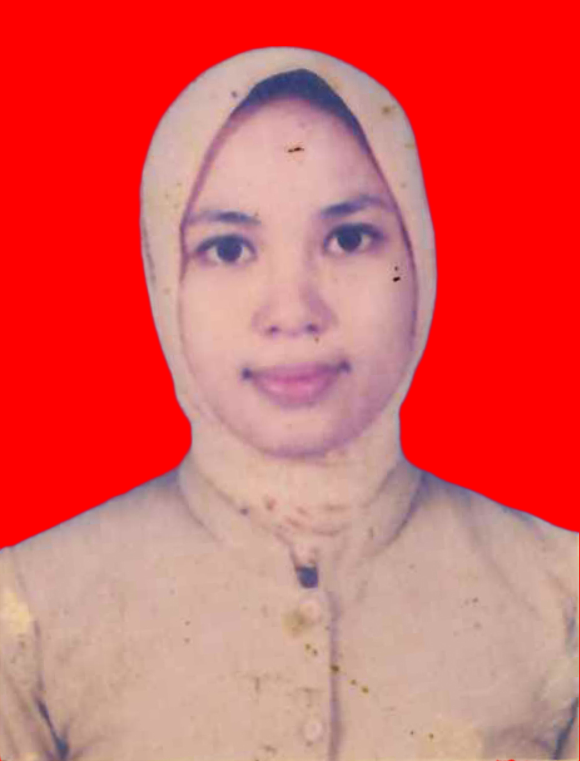 NURUL INAYATI,S.SOS 